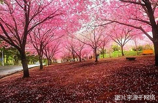 http://123.56.192.158//upimg/seot/t20161219142324159.jpg